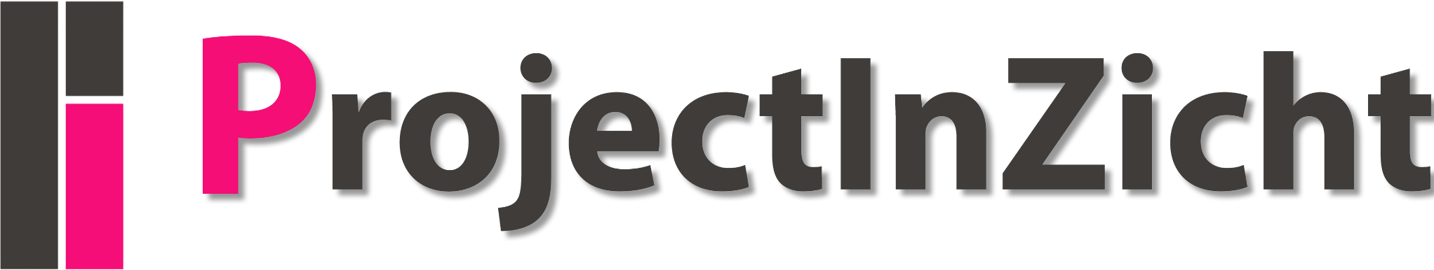 Project in ZichtFooter Logo